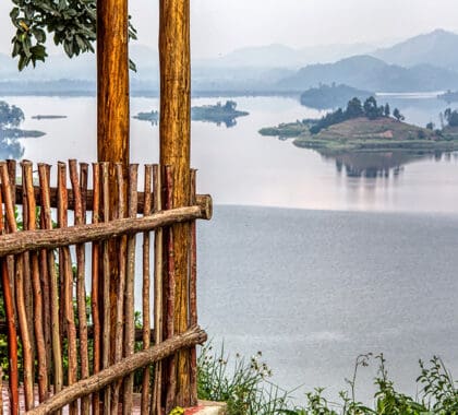 Marvel at the spectacular views across Lake Mutanda.