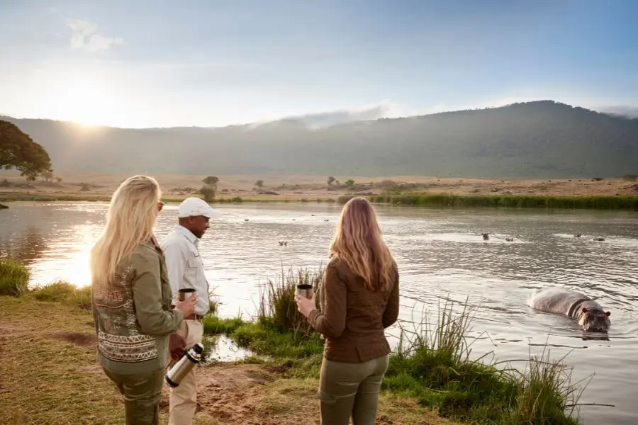 Parada para tomar café con avistamiento de hipopótamos con el Sanctuary Ngorongoro Crater Camp