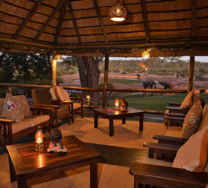 Wildlife viewing from Elephant Valley Lodge.