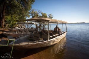 Navegue por el caudaloso río Chobe en un safari en barco.