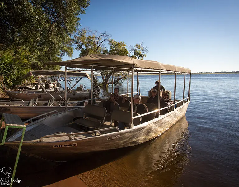 Navegue por el caudaloso río Chobe en un safari en barco.