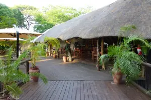 La zona principal del lodge tiene muchas terrazas y una sala con techo de paja que modera de forma natural las temperaturas en el lodge. 
