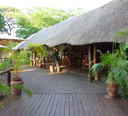 La zona principal del lodge tiene muchas terrazas y una sala con techo de paja que modera de forma natural las temperaturas en el lodge. 