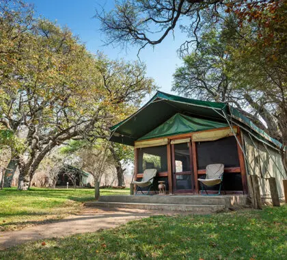 Exterior de la tienda del Elephant Valley Lodge. 
