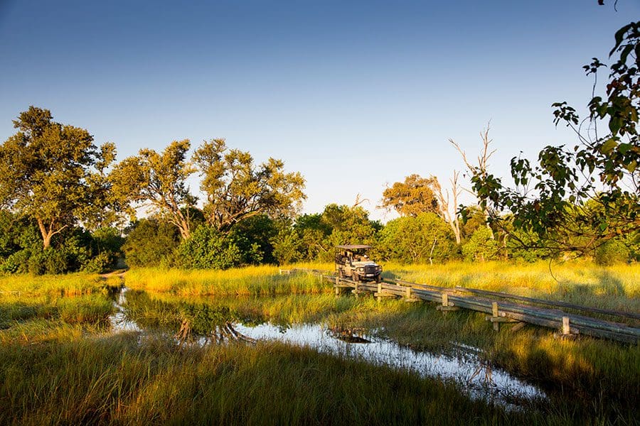 Thrilling game drives.