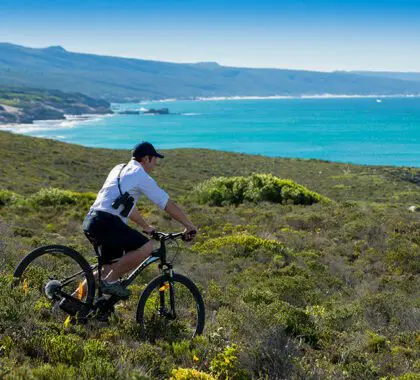 Bicicleta de montaña en la reserva natural de Hoop.