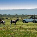 Safari por la reserva natural.