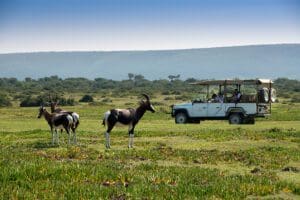 Safari por la reserva natural.