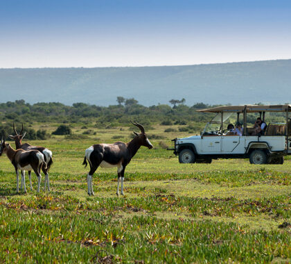 Game drive through the nature reserve.