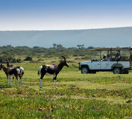 Safari por la reserva natural.