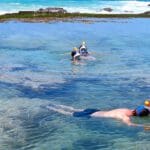 Actividad de snorkel.