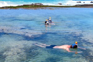 Actividad de snorkel.
