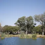 Notten’s is the perfect place for peace and relaxation while watching
wildlife meander past.