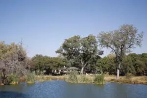 Notten’s is the perfect place for peace and relaxation while watching
wildlife meander past.