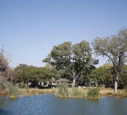 Notten's es el lugar perfecto para descansar y relajarse viendo pasar la fauna.