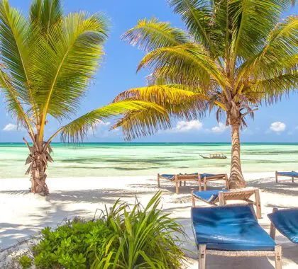 Beach Lounge chairs under palm tree leaves at the shore of Indian ocean. 