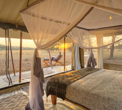 Watch the sky turn a golden yellow after a day of safari activities. 
