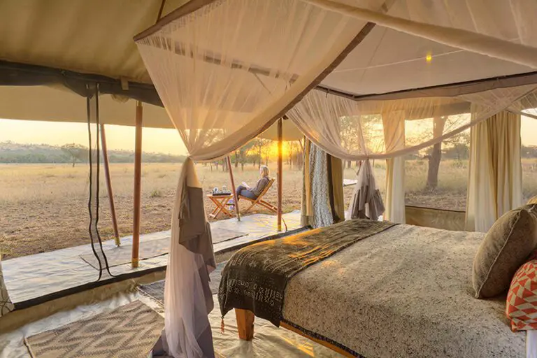 Watch the sky turn a golden yellow after a day of safari activities. 