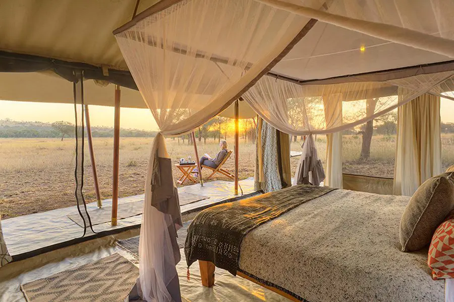 Watch the sky turn a golden yellow after a day of safari activities. 