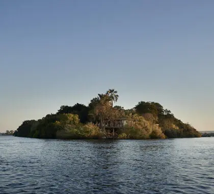Vista de la isla desde el río. 