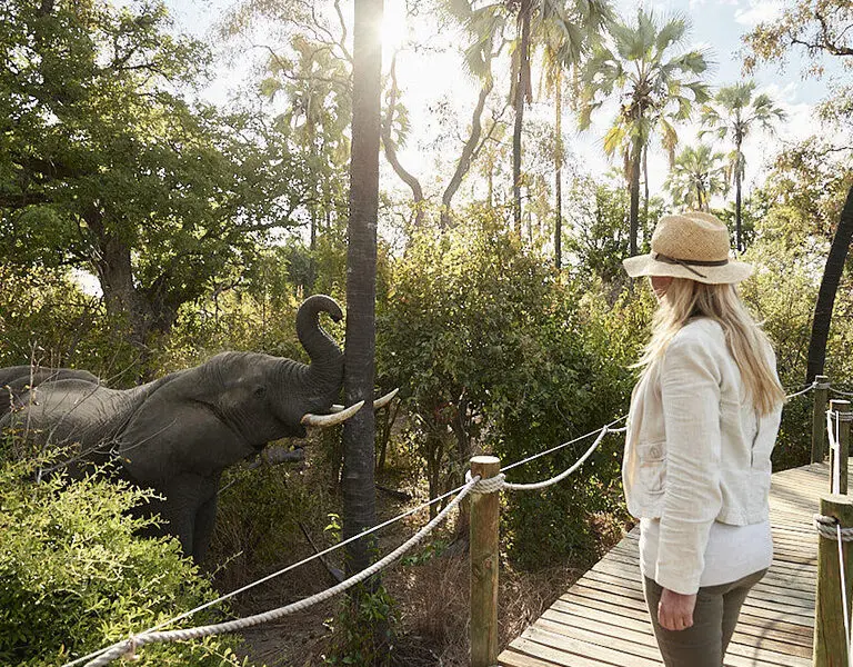 Visitantes de la isla. 