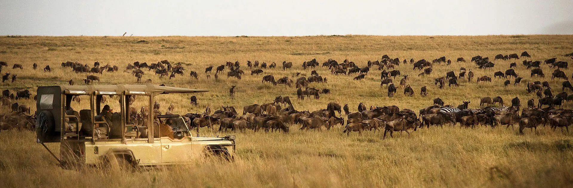 banner-Kimondo-Camp-Game-Drive-Wildebeest-Migration-Eliza-Deacon-HR
