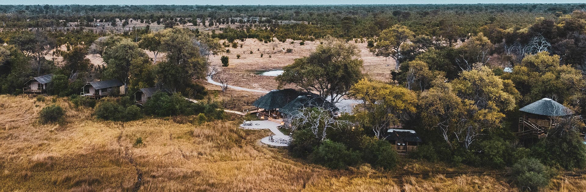 Banner Little Sable, Okavango Delta, Botswana