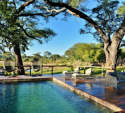 swimming pool at Elephant Valley Lodge.