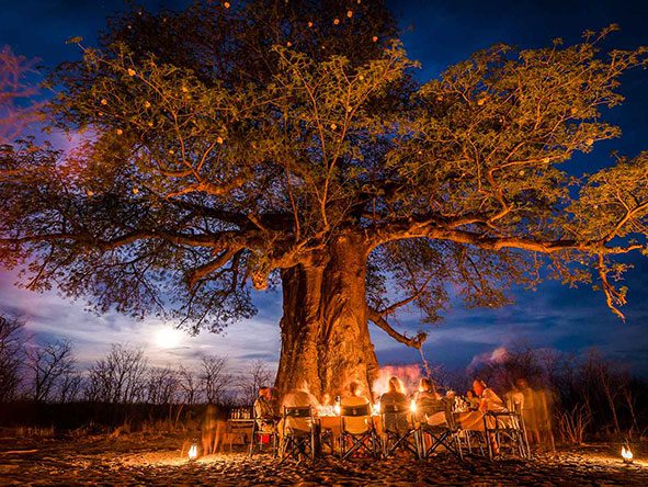 Gather under an old baobab tree and around a crackling fire and swap stories with other travellers.