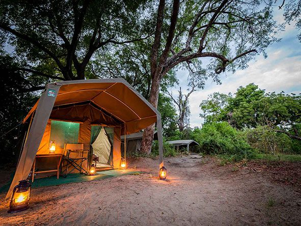 Ten Meru-style safari tents are hidden among the chaos of trees growing on Xobega Island.