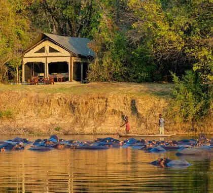 El Proyecto de Conservación de Luambe es el único alojamiento del Parque Nacional de Luambe y ofrece una experiencia aislada en la sabana, lejos de las multitudes.