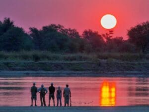 Maravíllese con las fenomenales puestas de sol sobre el río Luangwa.