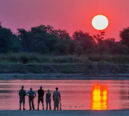 Maravíllese con las fenomenales puestas de sol sobre el río Luangwa.