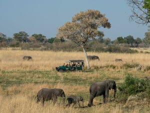 El Mapula Lodge es famoso por sus expertos guías de safari.