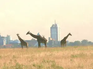 Nairobi, Kenya