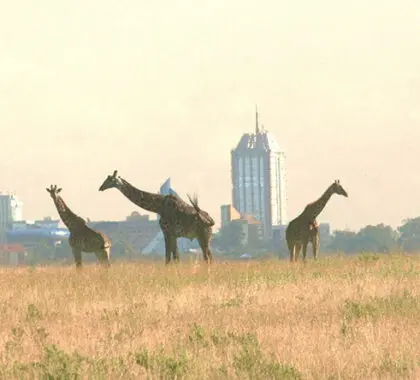 Nairobi, Kenia