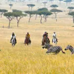 Being on horseback allows you to get really close to the Mara’s wildlife.