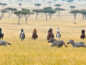 Being on horseback allows you to get really close to the Mara’s wildlife.