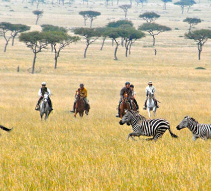 Being on horseback allows you to get really close to the Mara’s wildlife.