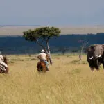 Face members of the big5.