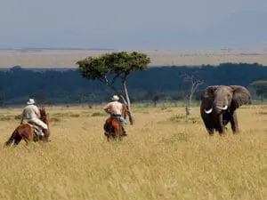 Face members of the big5.