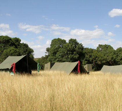 The remote camp in the Mara borders the Ngama Hills and the Oloololo Escarpment.