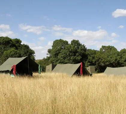 The remote camp in the Mara borders the Ngama Hills and the Oloololo Escarpment.