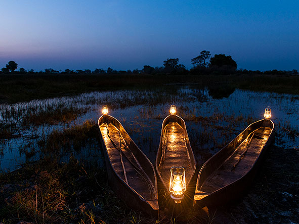 Discover the secret spots of the Delta’s secluded waterways on a mokoro.
