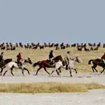 Siga la migración a caballo: una experiencia de safari inolvidable.