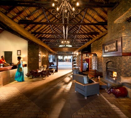 BakubungBushLodge-Entrance-ReceptionArea