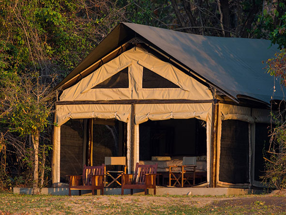 Luambe Camp is built on the banks of the Luangwa River, overlooking the biggest pods of hippos in the river.