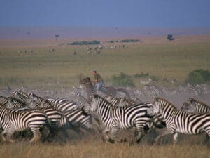 A bucketlist experience, riding on a horse during the busiest season in Africa.