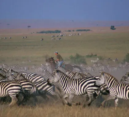 A bucketlist experience, riding on a horse during the busiest season in Africa.