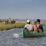 Go on an adventurous canoe safari down the magnificent Zambezi river.